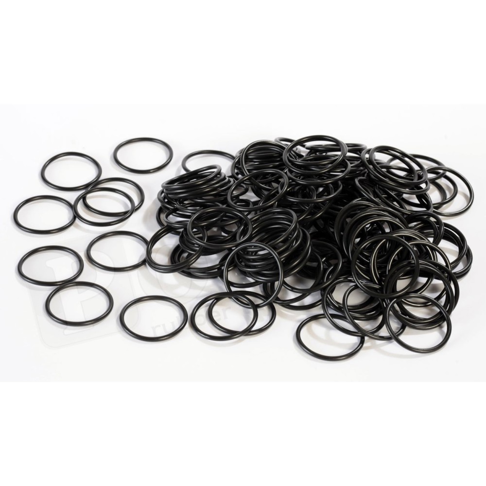 Guarnizioni o'ring