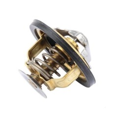 Termostato 8831035 FL10C