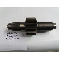 Albero pignone riduttore...