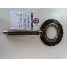 Coppia conica 584943