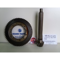 Coppia conica 584943