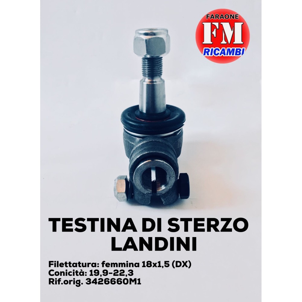 Testina di sterzo Landini