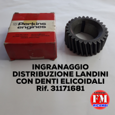 Ingranaggio distribuzione...