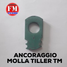 Ancoraggio molla tiller TM