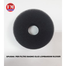Spugna per filtro bagno...