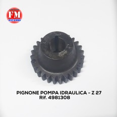 Pignone pompa idraulica -...