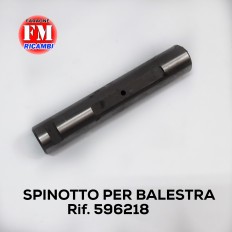 Spinotto per balestra - 596218