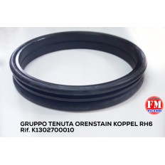 Gruppo tenuta Orenstain...