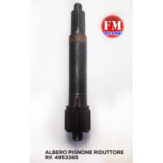 Pignone riduttore - 4953365