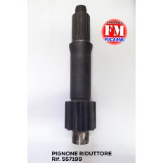 Pignone riduttore lat. -...