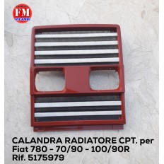 Calandra radiatore cpt. - 5175979