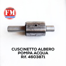 Cuscinetto albero pompa acqua - 4603871