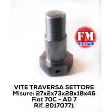 Vite traversa settore -...