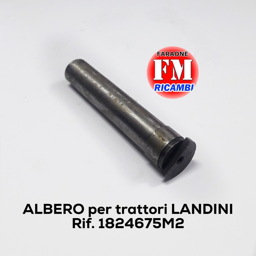 Albero Landini - 1824675M2