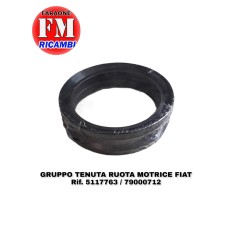 Gruppo tenuta ruota motrice...