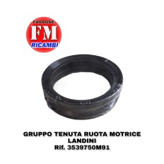 Gruppo tenuta ruota motrice...
