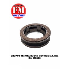 Gruppo tenuta ruota motrice...