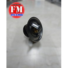 Termostato 79° - 500365249