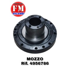 Mozzo - 4956786