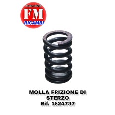 Molla frizione di sterzo -...