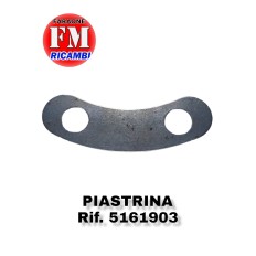Piastrina - 5161903